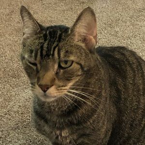 Meet your Posher, Isabel